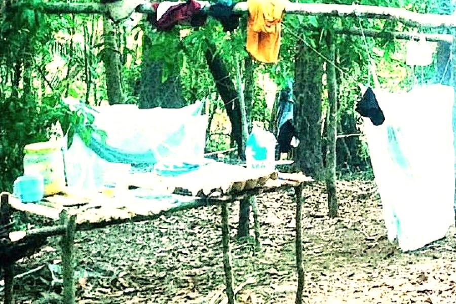 Acampamento na selva com redes e mosquiteiros armados entre as árvores