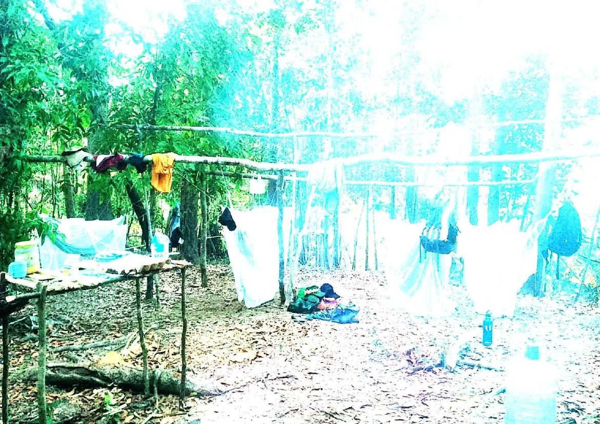 Acampamento na floresta